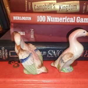 Colorful Ceramic Duck Figurines